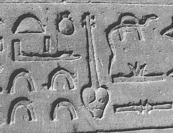 Hieroglyphs from Edfu Temple.