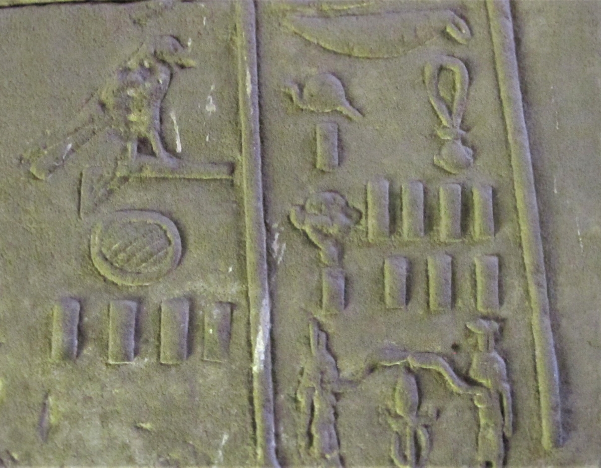 Hieroglyphs from Edfu Temple.