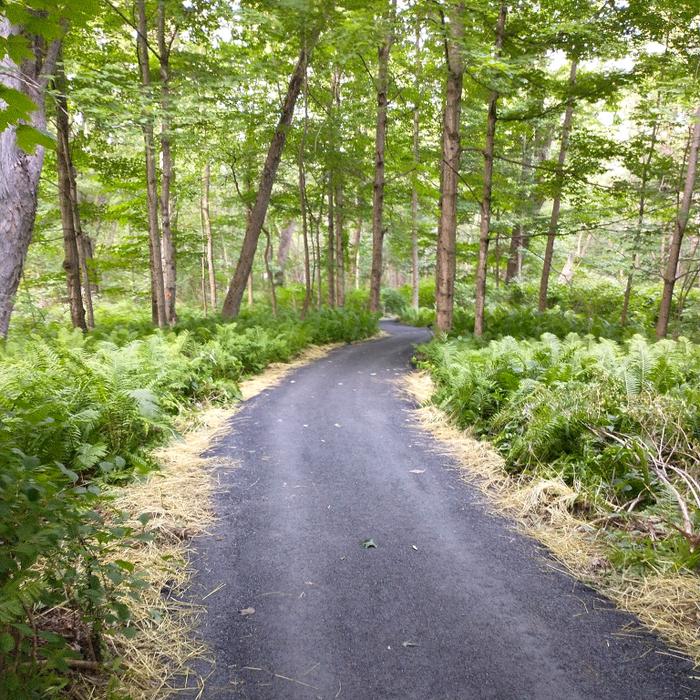 Accessible trail around Prescott Fields at UMF.