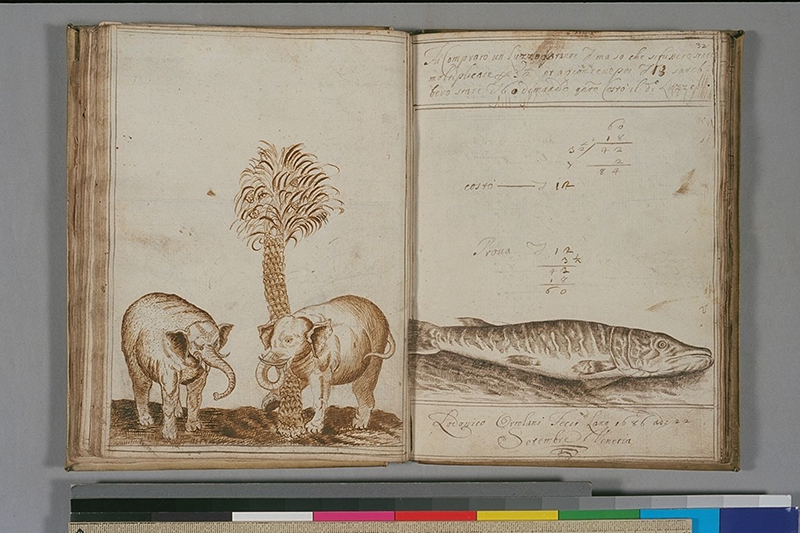 Illustrated division problem from Libro diConti di Me by Antonio Venturini, 1686