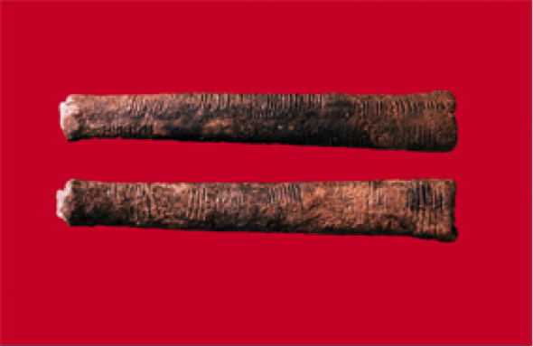 Ishango Tally Bone.