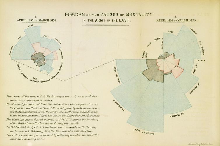 Copy of Nightingale's famous graph held in the collections of the Royal Trust.